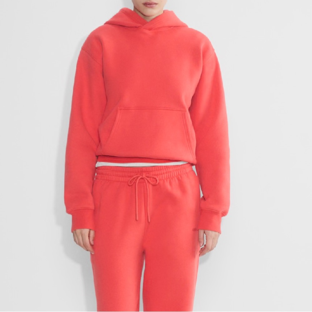 Aritzia Cozy Sweatfleece Perfect Hoodie - Cherry - Size Medium